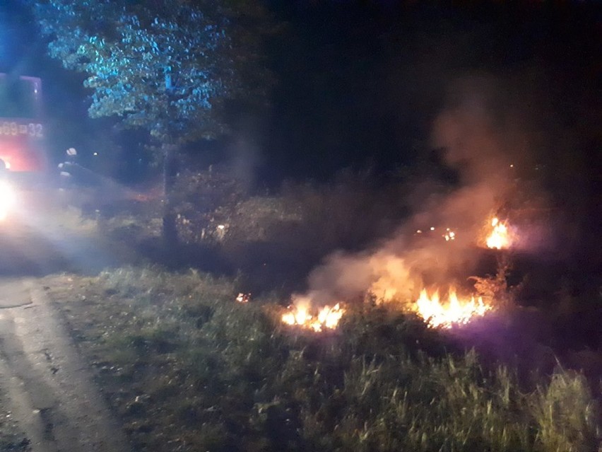 Ochotnicy z OSP Dobrzyca walczyli z pożarem traw