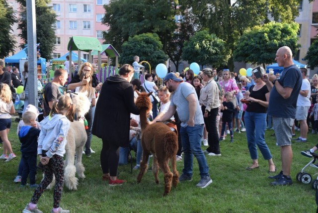 Moc atrakcji podczas festynu "Zakończenie lata na Kalincu"