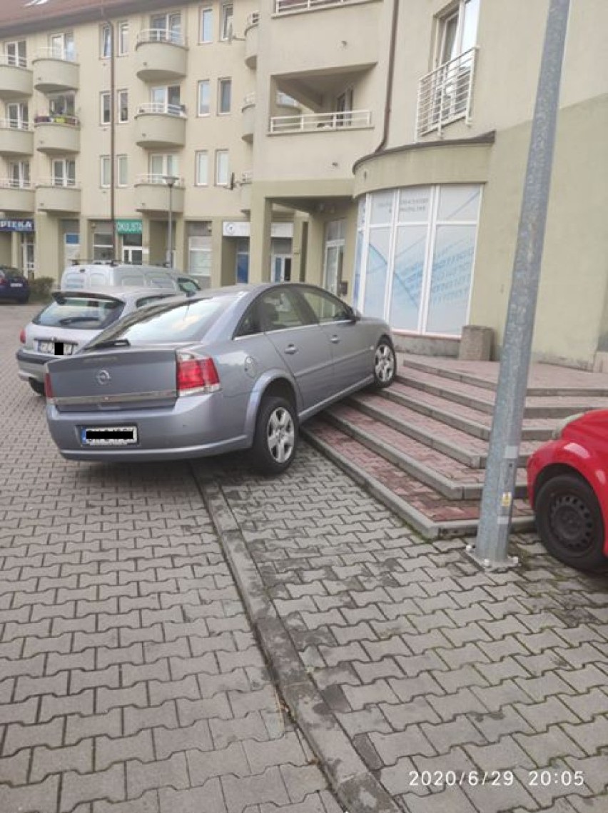 "Święte krowy" z Wrocławia. Tak parkować nie wolno! (ZDJĘCIA)