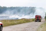 Pożar pola w Częstochowie. Kłęby dymu widoczne były z odległości kilkunastu kilometrów