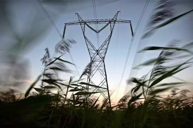 W artykule informujemy gdzie w Bydgoszczy i okolicy zabraknie prądu w tygodniu od 16 do 20 października. Podajemy dokładne adresy oraz terminy planowanych wyłączeń prądu. Wyjaśniamy również, czy za przerwę w dostawie prądu należy się odszkodowanie.