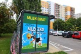 Mlekomaty w Poznaniu - Kolejny stanął na osiedlu Kopernika