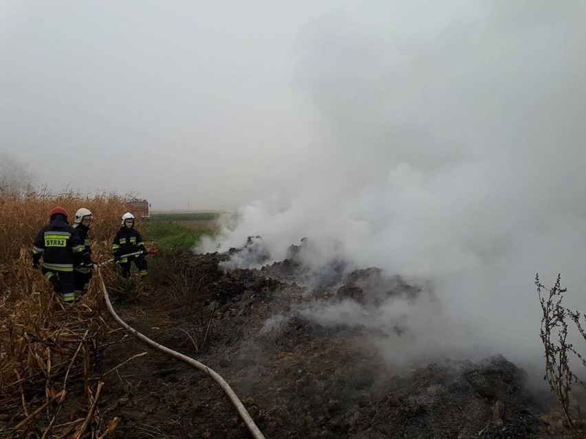 Pożar odpadów szklarniowych w Kościelnej Wsi. Musieli interweniować strażacy z OSP Gołuchów
