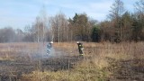 Seria pożarów traw w powiatach bocheńskim i brzeskim [ZDJĘCIA]