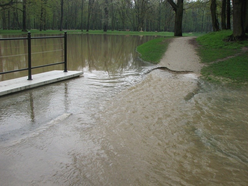 Syców: Park pod wodą