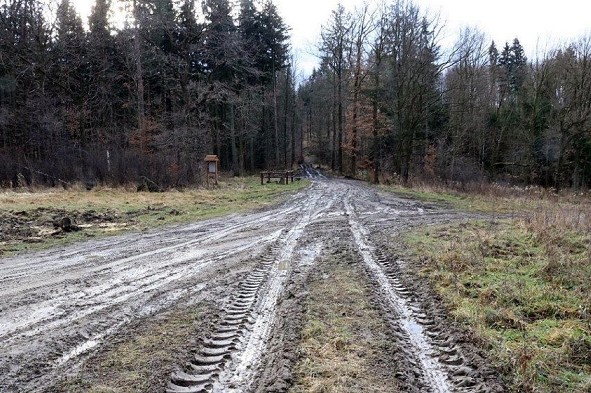 Budowa drogi umożliwiającej rolnikom dojazd do pól i...