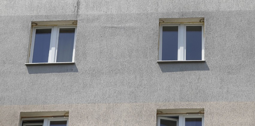 Kto odpowiada za zdjęte gniada jaskółek na ulicy Starzyńskiego w Rzeszowie? Do lipca trwa okres ochronny tych ptaków 