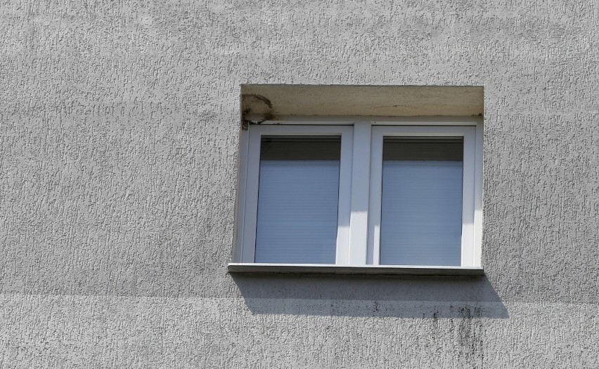 Kto odpowiada za zdjęte gniada jaskółek na ulicy Starzyńskiego w Rzeszowie? Do lipca trwa okres ochronny tych ptaków 