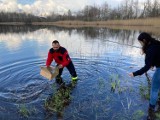 Basen w Kunicach i akcja ratunkowa nietoperza. Strażacy OSP pomogli zwierzęciu, które zaplątało się w żyłkę wędkarską