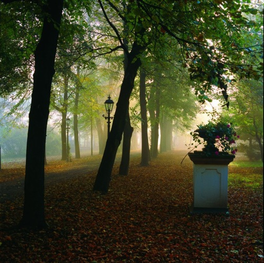 Zdjęcia dworu, parku i arboretum w Lusławicach użyczone...