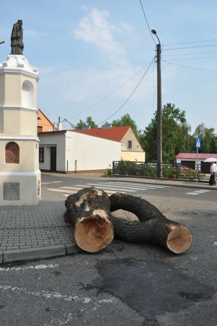 Wydarzenia dnia: 17 sierpnia w Poznaniu i...