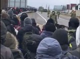 Wielki pochód migrantów kieruje się w stronę przejścia granicznego w Kuźnicy [ZDJĘCIA, WIDEO]