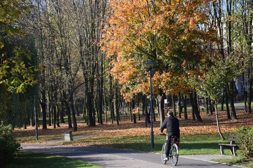 Jesień na Skałce Świętochłowice