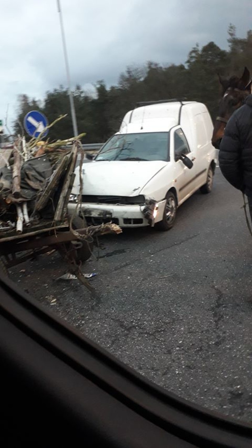 Wypadek na obwodnicy Krzepic. Furmanka zderzyła się z samochodem dostawczym [ZDJĘCIA]