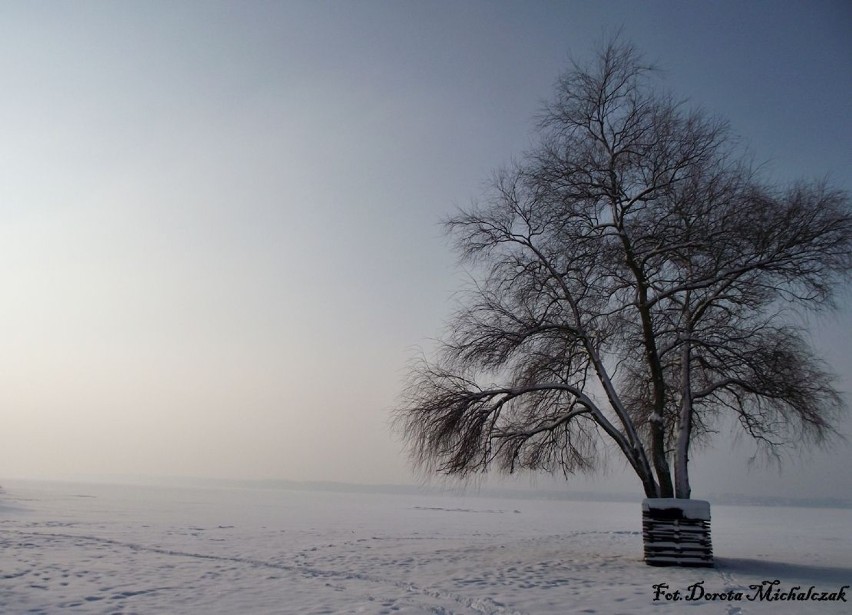Jezioro Błędno, skute lodem.Fot. Dorota Michalczak