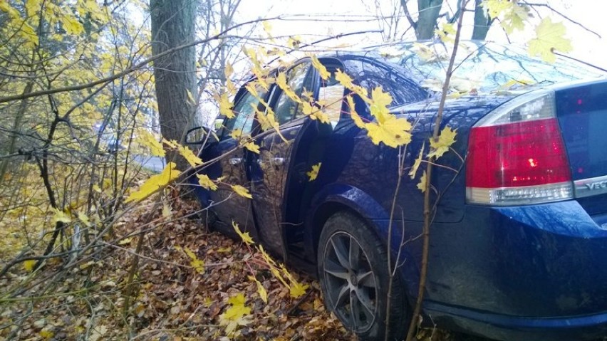 Wypadek Zakrzewiec. Samochód uderzył w drzewo
