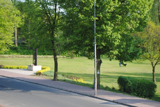 Skwer za pomnikiem Maksymiliana Ciężkiego jest jednym z nielicznych, które zostały uporządkowane. Na początku tygodnia trawa na skwerze została skoszona