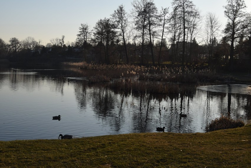 Wybierz się do Parku Rodzinnego nad Jeziorem Kaplicznym w...