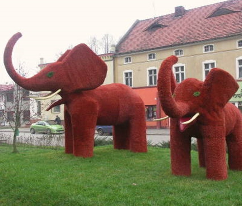 Gmina Radwanice: Trzy radwanickie słonie czekają na imiona. Ruszył konkurs