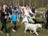 Lubliniec: Pierwsze zawody Pucharu Polski w Dogtrekkingu 2015 z imponującą frekwencją [ZDJĘCIA]