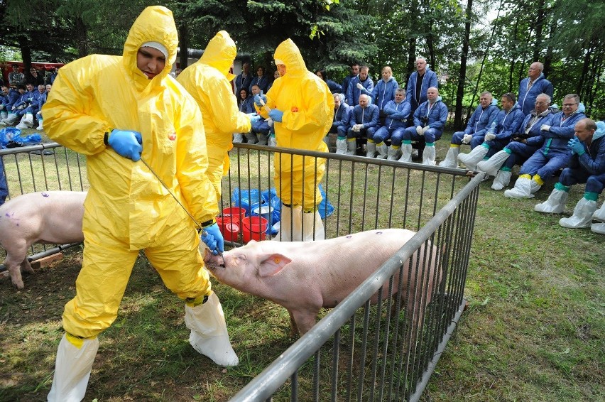 Do powiat śremskiego na ćwiczenia z przeciwdziałaniu...