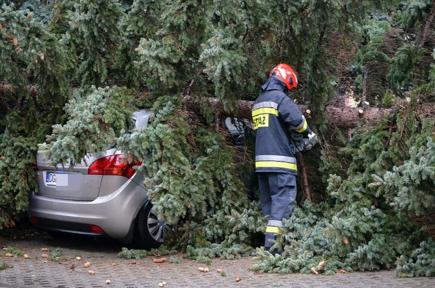 Głogów: Na Mechanicznej wiatr przewrócił drzewo na dwa samochody