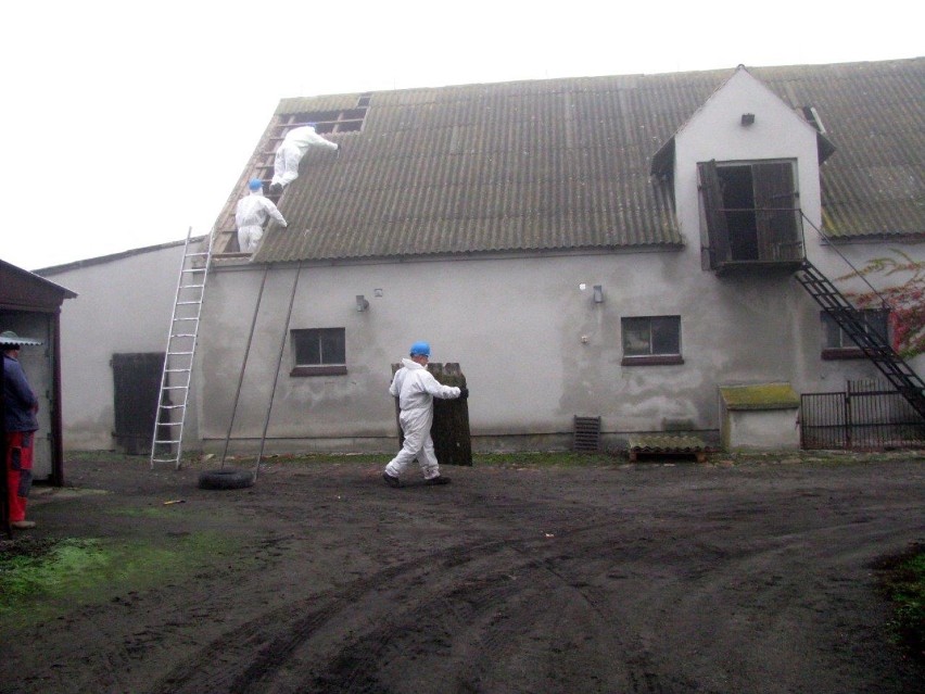 W ubiegłym roku w powiecie pleszewskim udało się usunąć 350 ton szkodliwego dla zdrowia azbestu