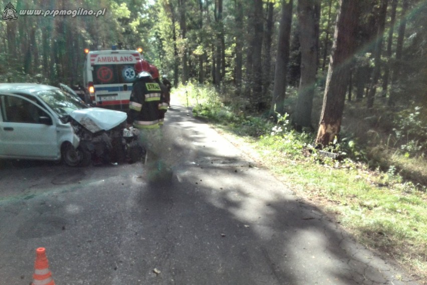 Wypadek samochodu osobowego w pobliżu Przyjezierza [ZDJĘCIA]