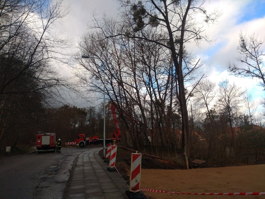 Wejherowo. Na ul. Zamkowej strażacy usuwają drzewa zagrażające bezpieczeństwu. Kilkanaście zgłoszeń przez wichury