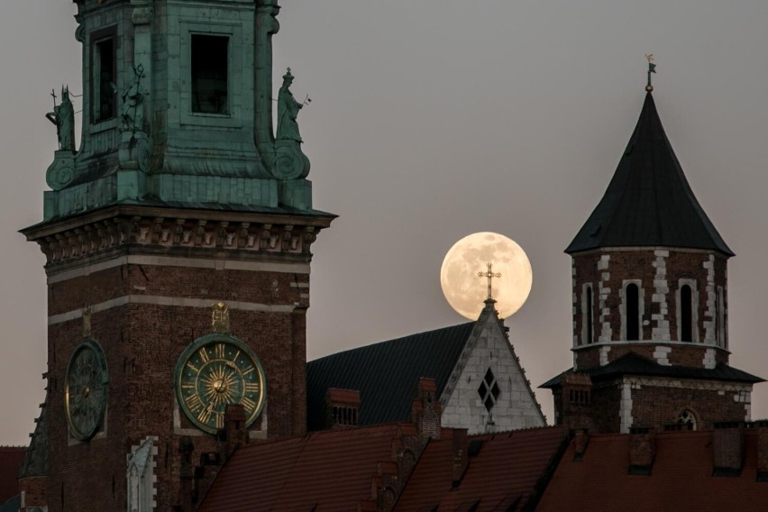 Tak prezentował się Różowy Księżyc w 2020 roku, dokładnie w...