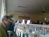 Wystawa gołębi pocztowych w Stróży. Podczas aukcji zebrano prawie 6 tys. zł ZDJĘCIA