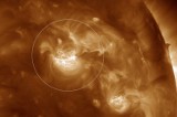 Przyjrzyjcie się powierzchni Słońca na nowym wideo udostępnionym przez NASA