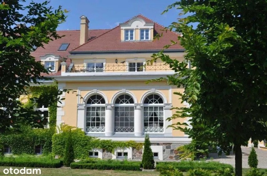 Zabytkowy pałac Podonowskich w Bugaju jest wystawiony na...