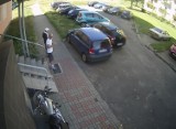 Kradzież nawigacji z samochodu w Gdańsku. Policja szuka dwóch mężczyzn [zdjęcia]