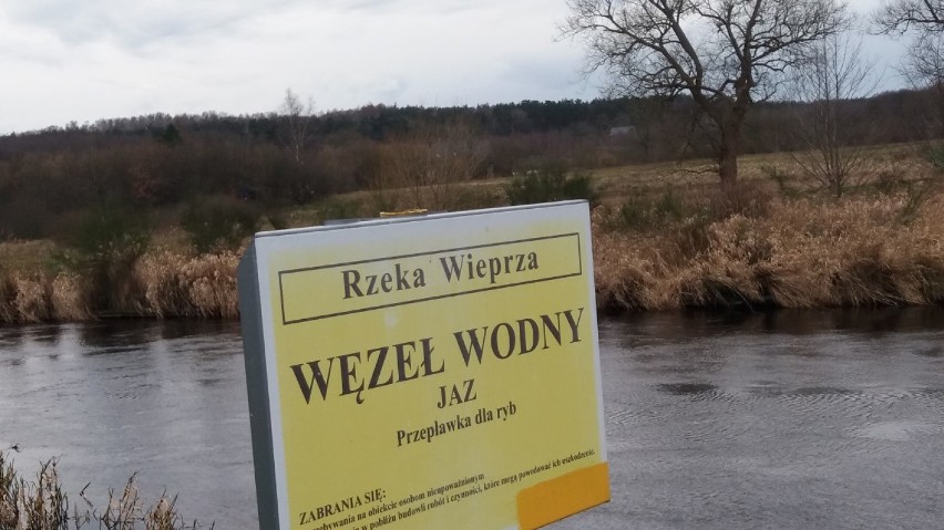Gmina Sławno