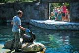 Opolskie zoo jest dłużej otwarte. Warto wybrać się tam szczególnie podczas karmienia zwierząt [ZDJĘCIA]