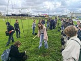 Zamość. Przez pięć lat posadzili pół tysiąca drzew. Odbyła się kolejna edycja akcji 