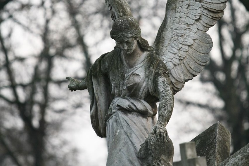 Anioł z cmentarza w Nowym Sączu