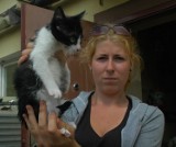 Starogard Gdański: Koty są ranione i kopane