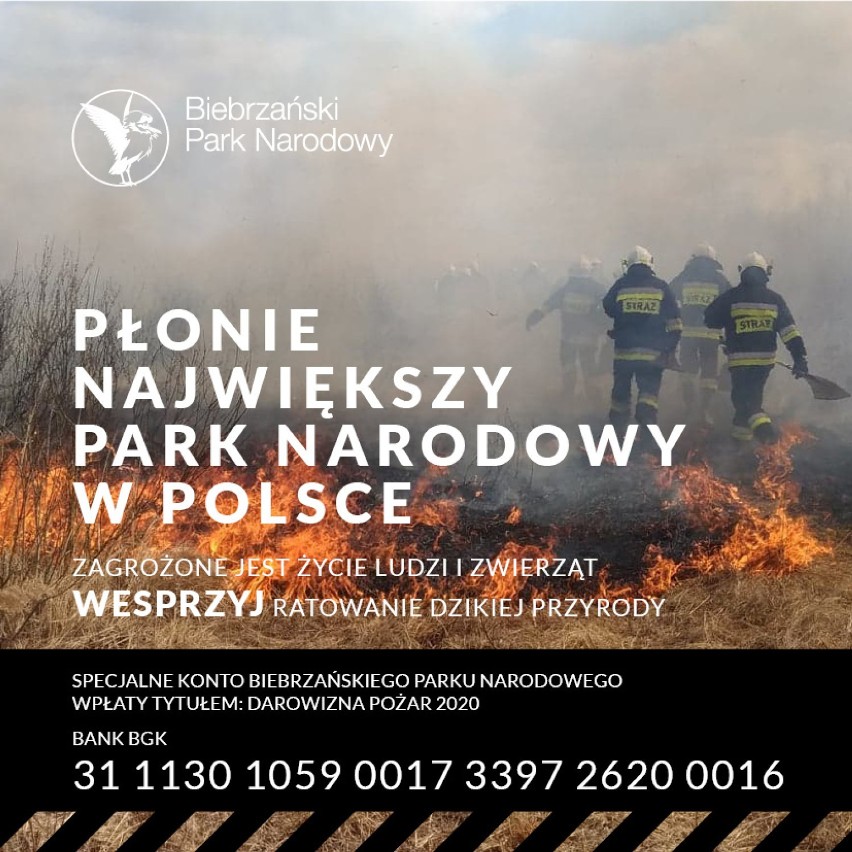 Trwa walka z pożarem w Biebrzańskim Parku Narodowym