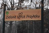 Przed nami otwarcie ogrodu "Zielone serce Przyłęku"! Co zaplanowano? 