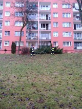 Pożar w mieszkaniu w Krakowie, zginęła kobieta