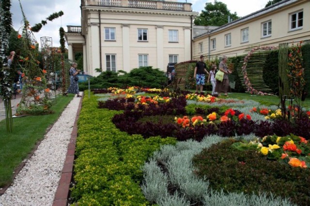 Festiwal Róż 2016. Kolorowo i pachnąco w Ogrodzie Botanicznym UW