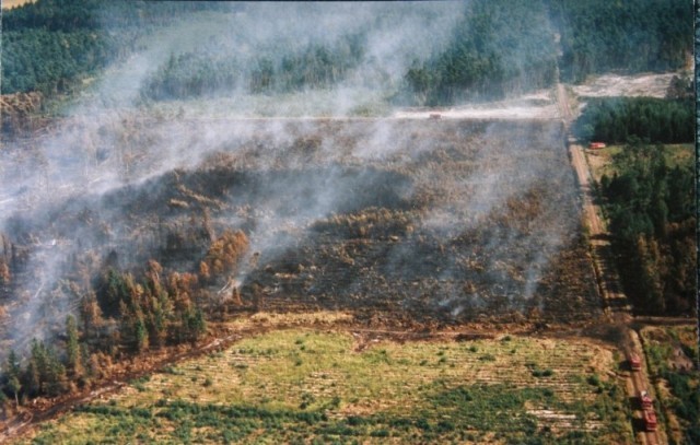 Blisko 700 ha lasu w naszym powiecie spłonęło w lecie 1992 roku. Pożar objął teren Koła Łowieckiego "Daniel" Gliwice. 

Zginęło w nim kilkanaście sztuk zwierzyny płowej.  Spłonęły również paśniki i ambony.

Zdjęcie obok przedstawia pożar, który w tym samym czasie trawił lasy w Rudach Raciboskich.
