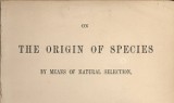 "On the Origin of Species" Darwina - najważniejszą książką naukową w historii