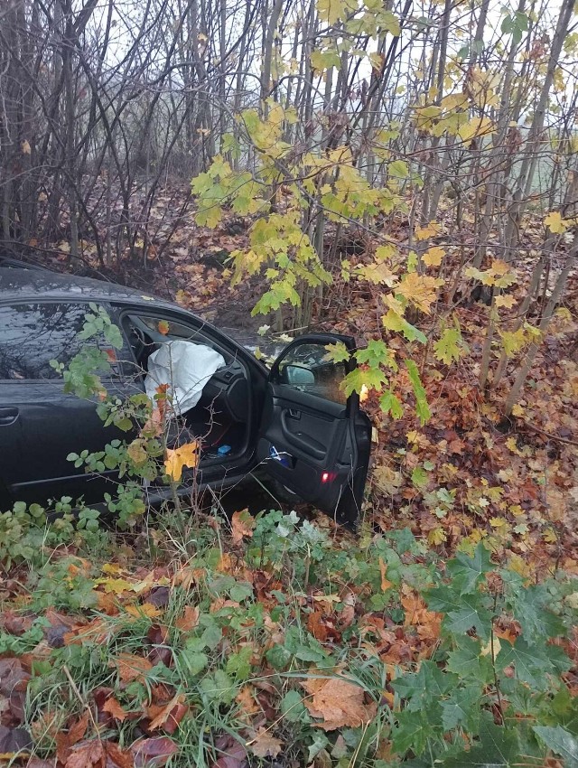 20-letni mieszkaniec gminy Jarocin, nie dostosował prędkości do warunków panujących na drodze, stracił panowanie nad pojazdem i wjechał do rowu