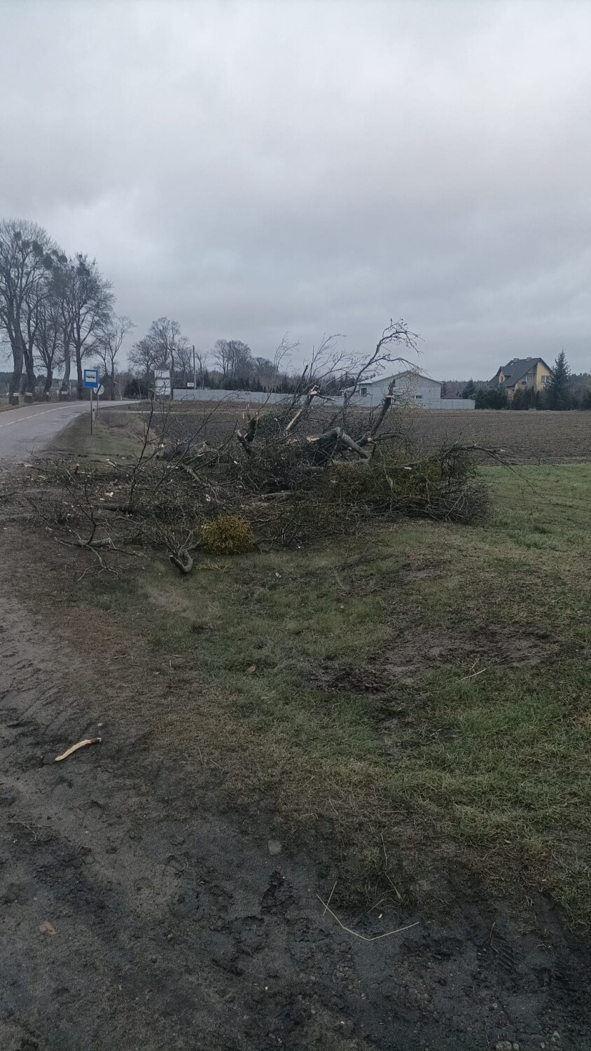 Powiat starogardzki. Strażacy walczą ze skutkami silnego wiatru ZDJĘCIA