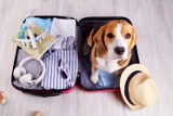 Przydatne gadżety do podróżowania – odkryj produkty, które ułatwią Ci podróżowanie i organizację wakacji
