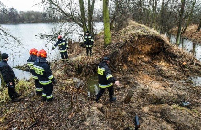 Kilkudziesięciu strażaków uszczelniało wczoraj groblę, przez którą przedarła się woda ze starego portu drzewnego. Akcja trwała przez kilka godzin i zakończyła się około 18.30.

Do zatamowania wody użyto 2000 worków z kruszywem dostarczonych przez miasto. W akcji brali udział strażacy PSP Bydgoszcz oraz słuchacze Szkoły Podoficerskiej PSP w Bydgoszczy.

Wbrew pierwotnym informacjom podawanym przez media, nie był to wał przeciwpowodziowy na Wiśle. Znajduje się on bowiem około kilometra od grobli, na której pracowali strażacy.

Adam Dudziak, dyrektor wydziału zarządzania kryzysowego w bydgoskim ratuszu tłumaczy, że grobla ta powstała ponad 100 lat temu. Usypano ją, gdy Niemcy tworzyli tu port drzewny. Grobla oddziela stary port od strugi, którą odprowadzany jest nadmiar wody do starego Brdyujścia.

Adam Dudziak przekonuje, że pobliska oczyszczalnia ścieków nie była zagrożona. Podkreśla, że gdyby do przerwania grobli doszło na większym obszarze, zapadłaby decyzja o spuszczeniu wody ze starego portu. Takie możliwości techniczne istnieją bowiem na tym terenie. Osuszenie portu oznaczałoby jednak poważne kłopoty dla bujnie rozwijającej się w tym miejscu fauny i flory.

Najprawdopodobniej do przerwania grobli przyczyniła się działalność bobrów, które od lat są bardzo aktywne w tej części miasta.

Dyrektor wydziału zarządzania kryzysowego tłumaczy, że w najbliższym czasie zapadną decyzje dotyczące przyszłości grobli. Najpierw jednak trzeba sprawdzić, w jakim stanie jest całość tej wiekowej konstrukcji. W grę wchodzi przebudowa całej grobli lub - co pewnie nie spodoba się miłośnikom przyrody - osuszenie tego miejsca.


Flesz - Smog skraca nam życie. Jesteśmy jak palacze!

