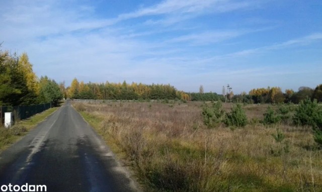 Cena: 66 000 zł
Powierzchnia: 1 100 m²
Typ działki: budowlana
Ogrodzenie: nie

SZCZEGÓŁY OFERTY KLIKNIJ TUTAJ 